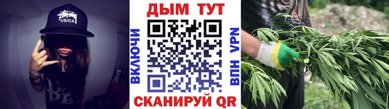 Купить закладку Бошки Шишки  COCAIN  Галлюциногенные грибы  МЕФ  ГАШ  Махачкала