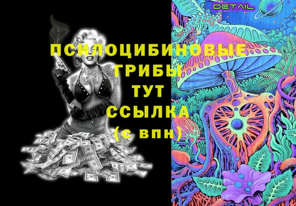 СК Володарск